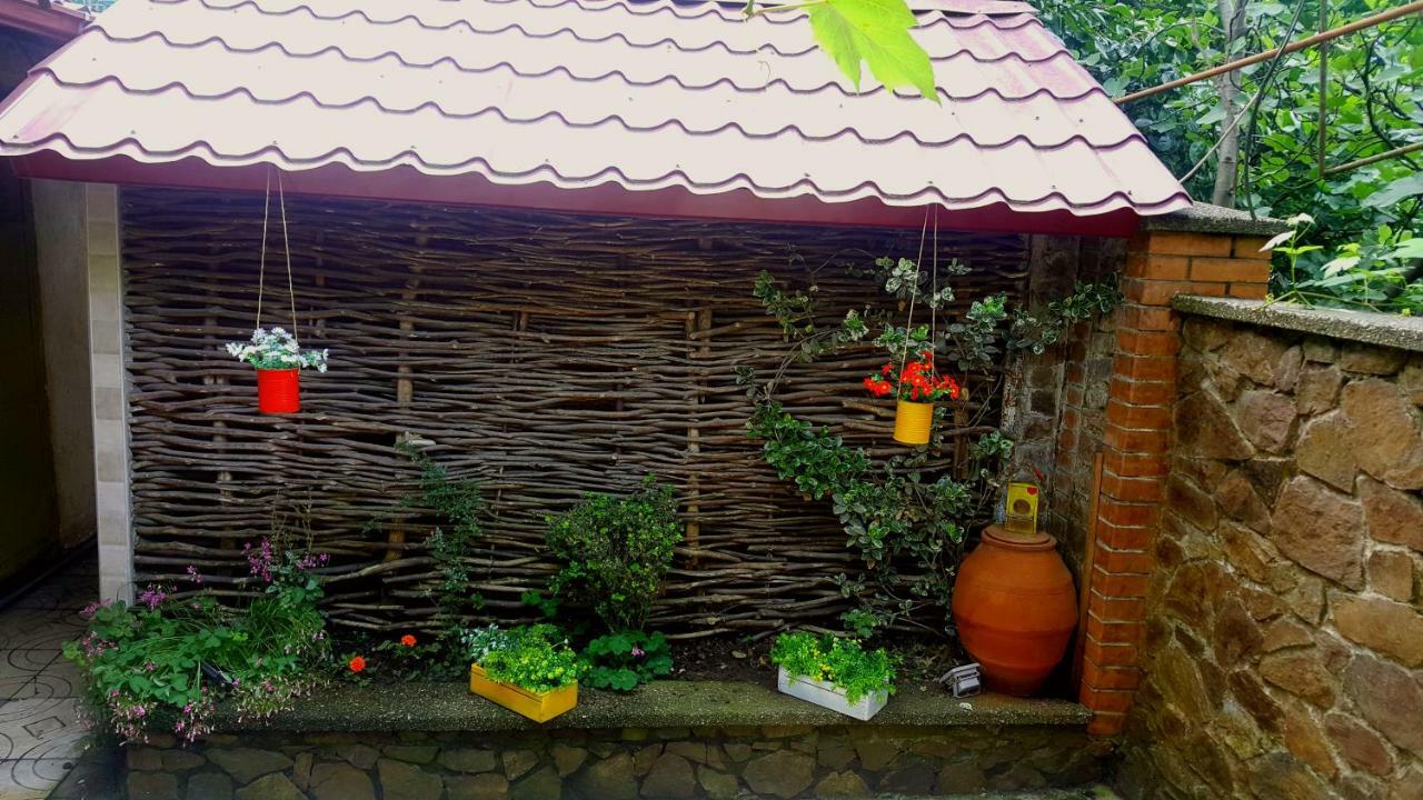 Green House In Batum Dış mekan fotoğraf